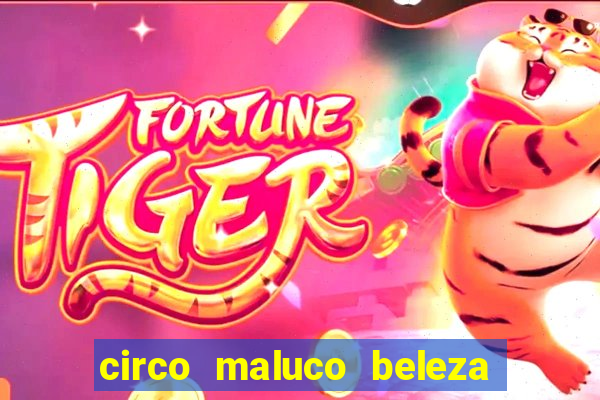 circo maluco beleza recife circo maluco